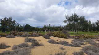 2023-GC--Mapalomas dunas-S123-014.jpg